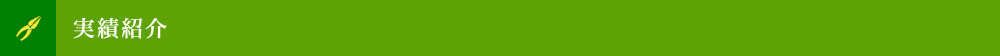 実績紹介